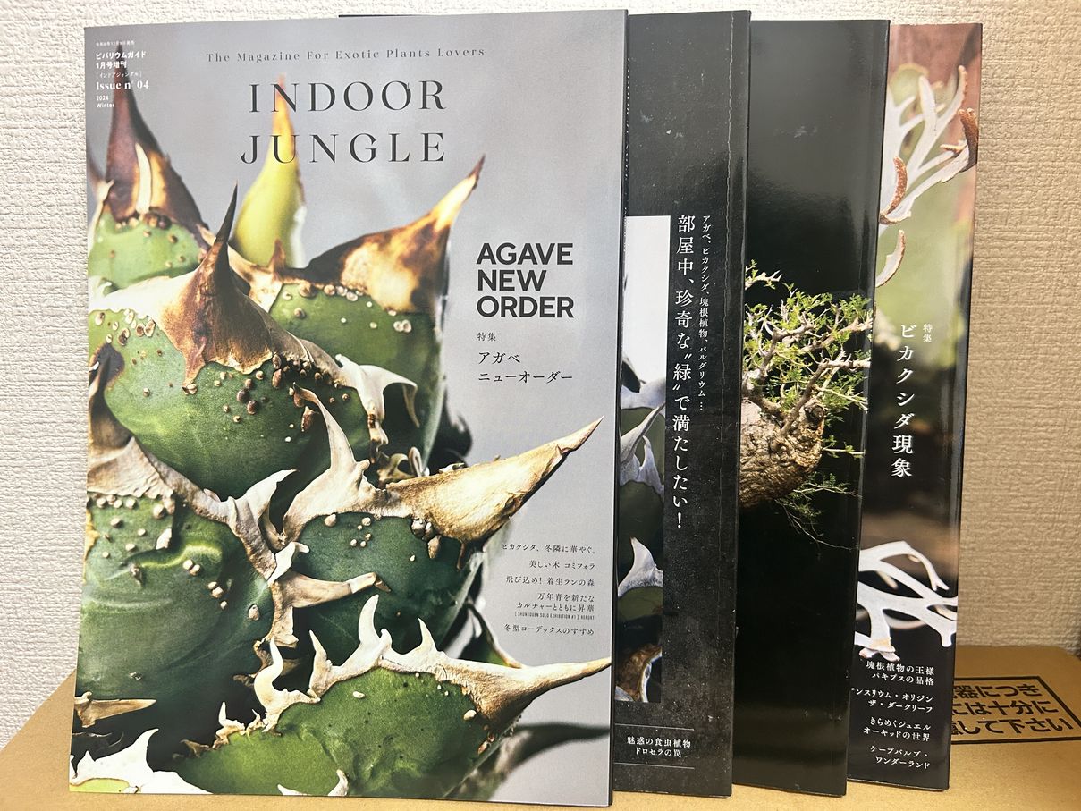 INDOOR JUNGLE