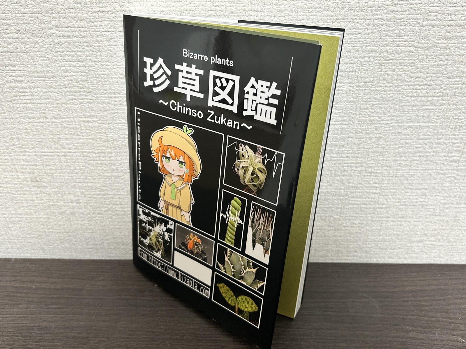 実際に販売した、珍草図鑑