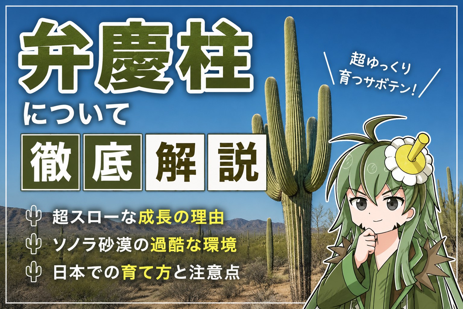 弁慶柱について解説！