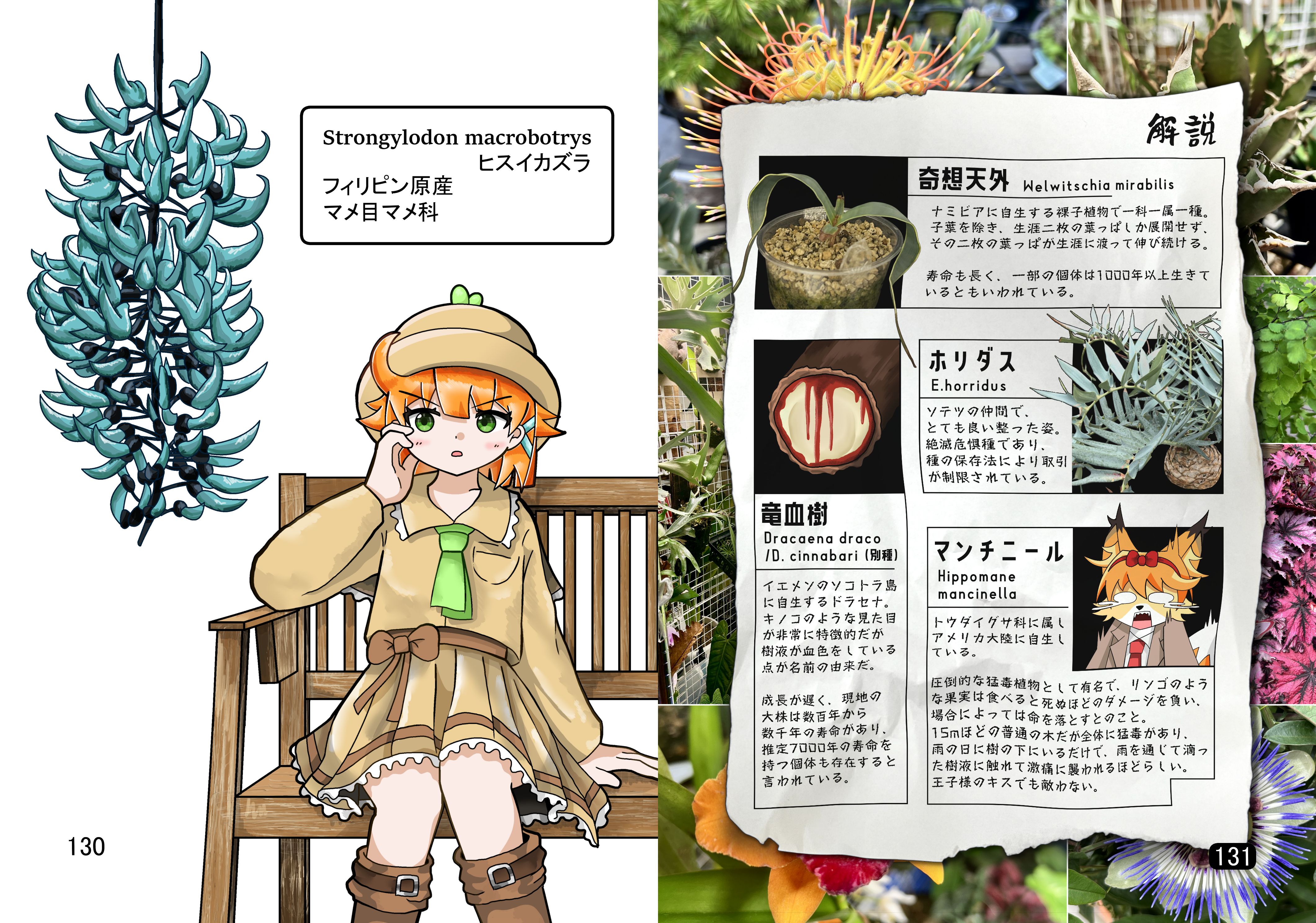 8ページ目