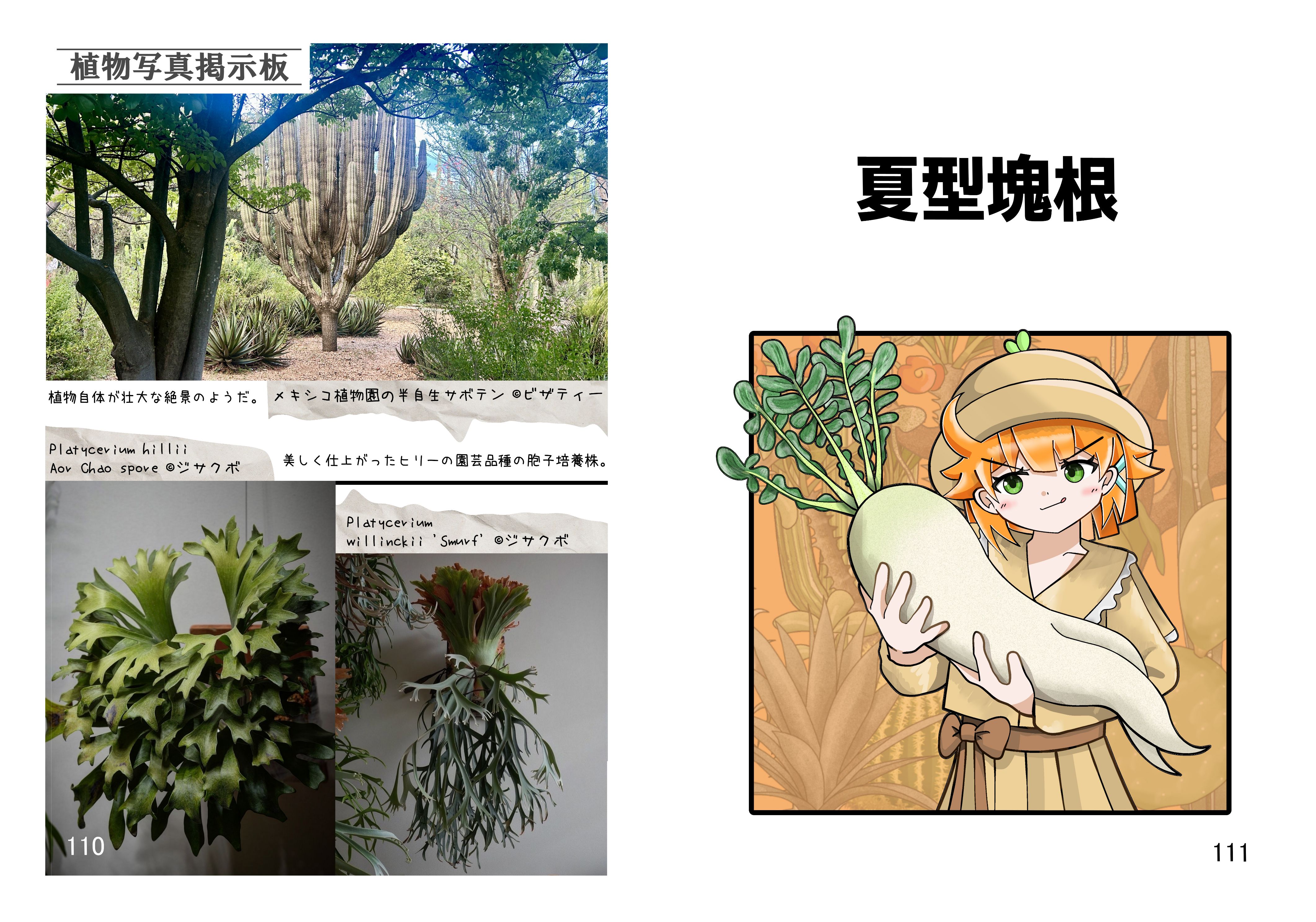 7ページ目