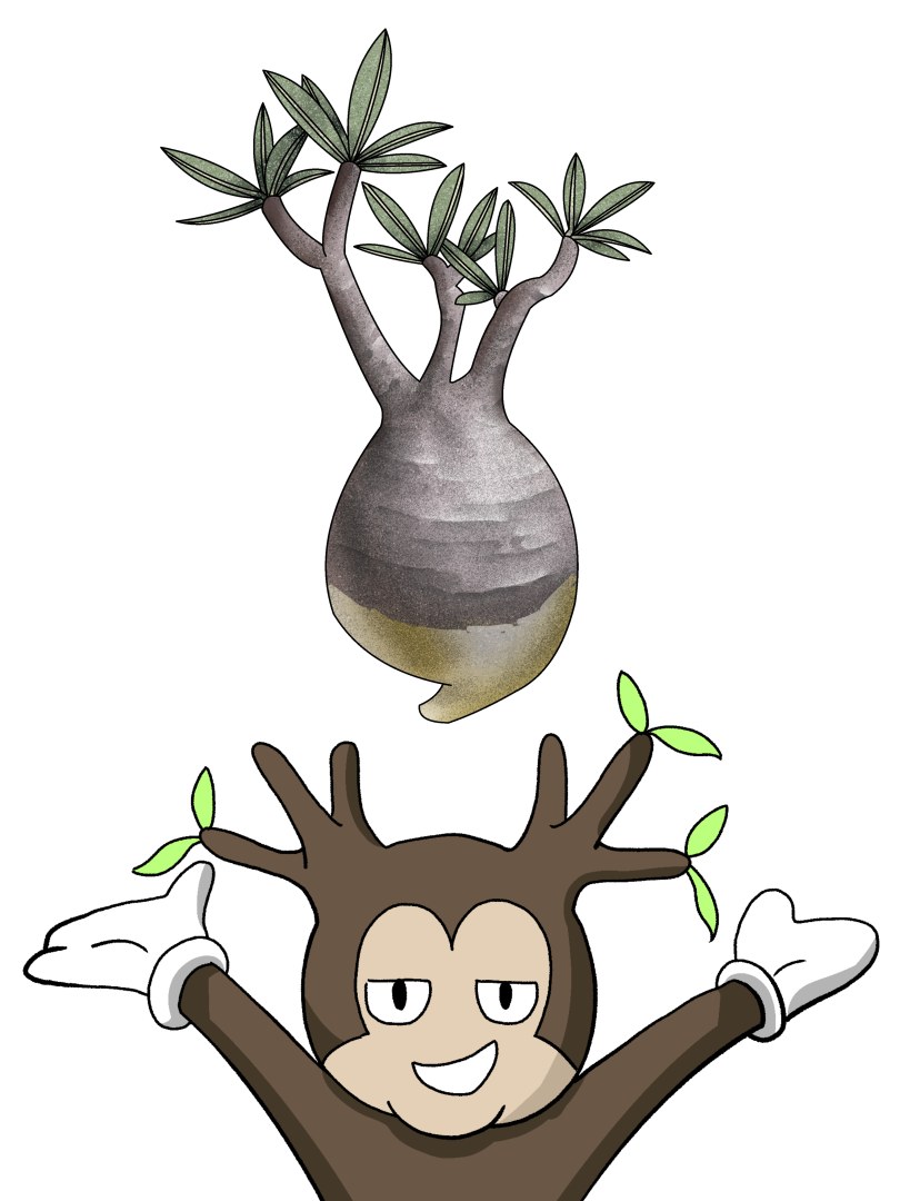 グラキーマウスの画像