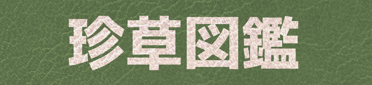 珍草図鑑