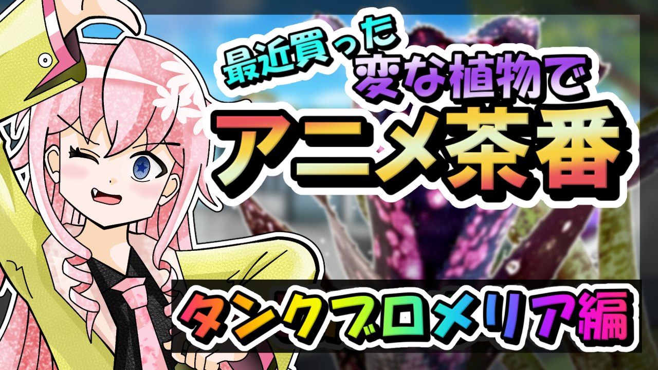 【植物アニメ】最近買ったタンクブロメリアで茶番作ってみた【コレクション紹介】のサムネイル