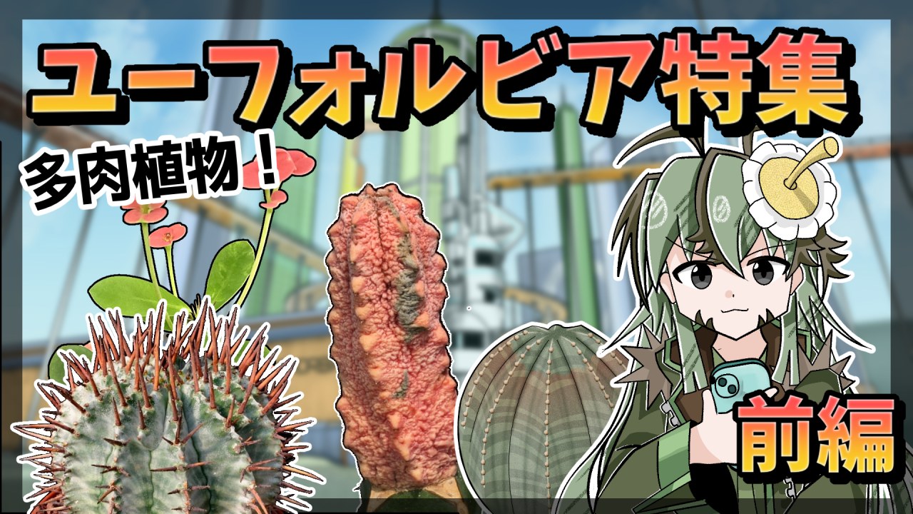 【植物アニメ】ユーフォルビアの大都市を散策！ほのぼの多肉植物物語【前編】のサムネイル