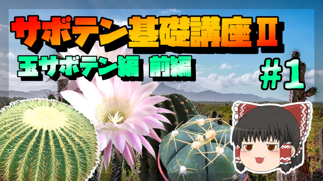 【ゆっくり解説】サボテン基礎講座Ⅱ　玉サボテン編・後編【リメイク】のサムネイル