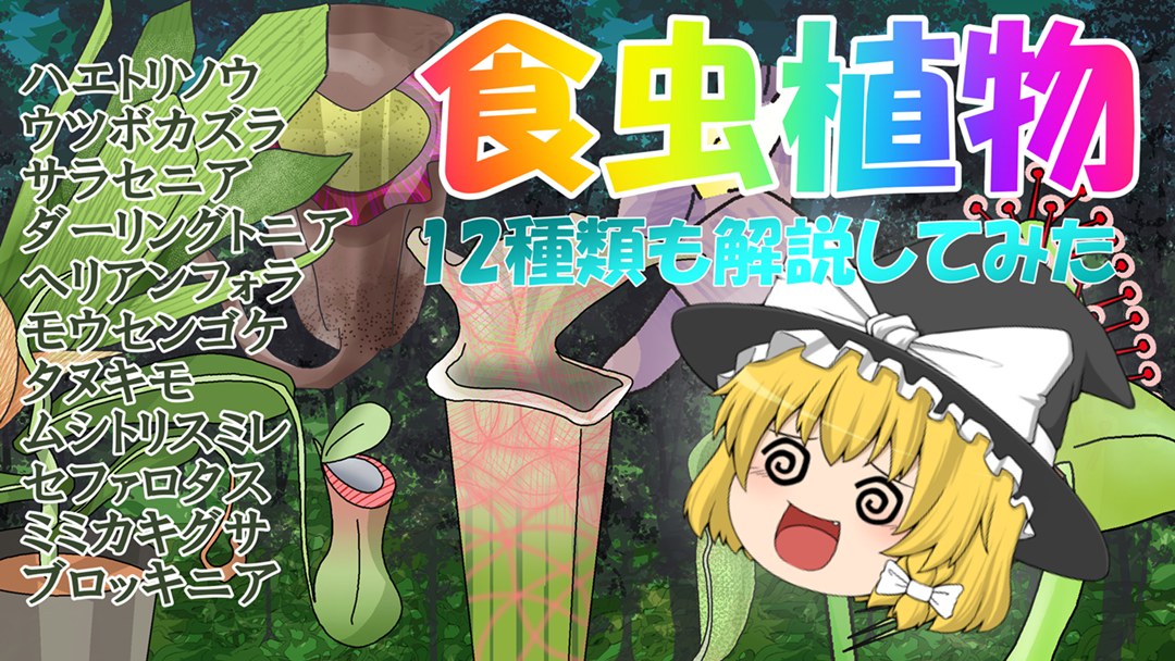 【ゆっくり解説】虫を食べるユニークな食虫植物たちを12種類紹介！【リメイク済み】のサムネイル