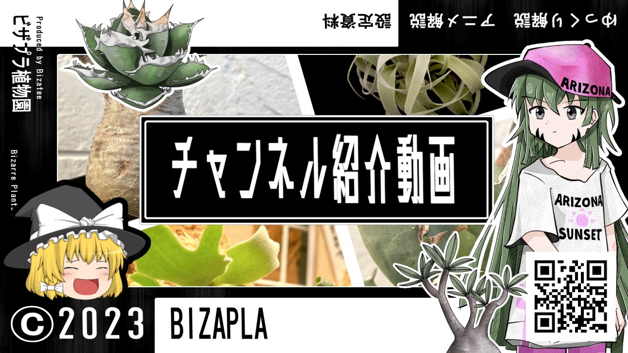 【ビザプラ植物園】チャンネルの概要と方向性について！！のサムネイル