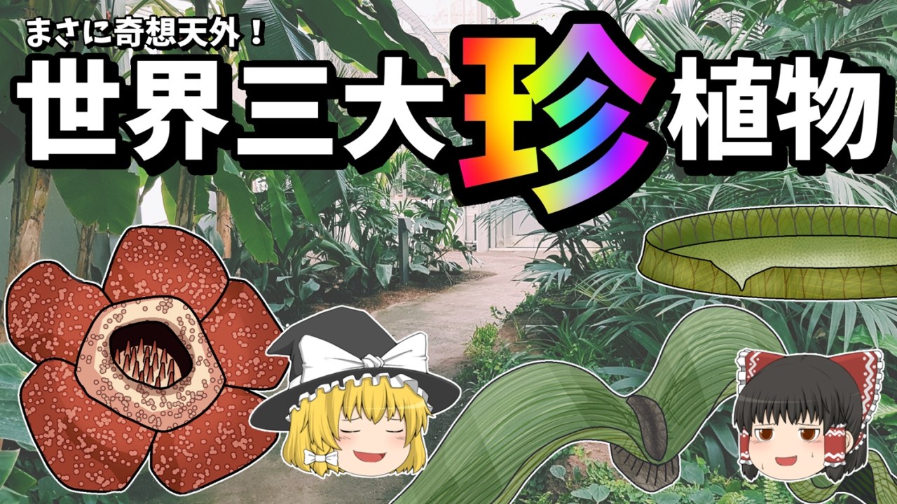 【ゆっくり解説】まさに奇想天外！世界三大珍植物とは！？【奇想天外・ラフレシア・オオオニバス】のサムネイル