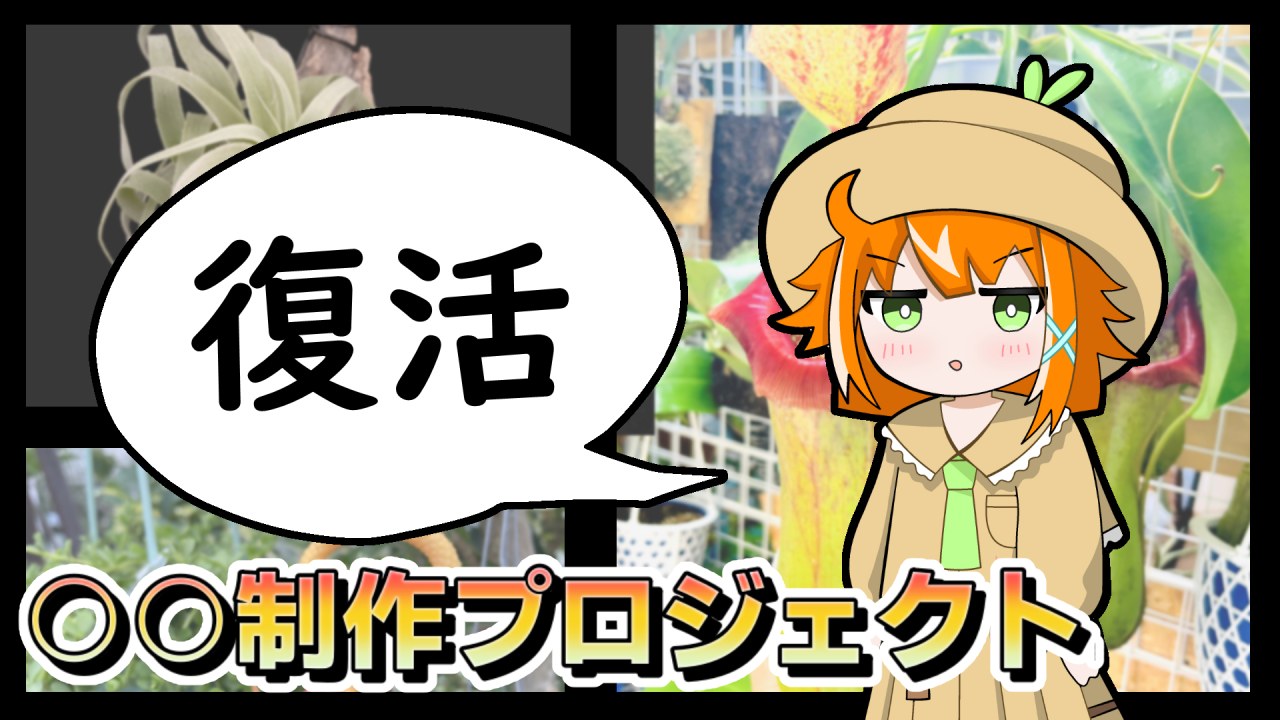 【解説しない回】視聴者参加型で○○を作りたい・・・のサムネイル