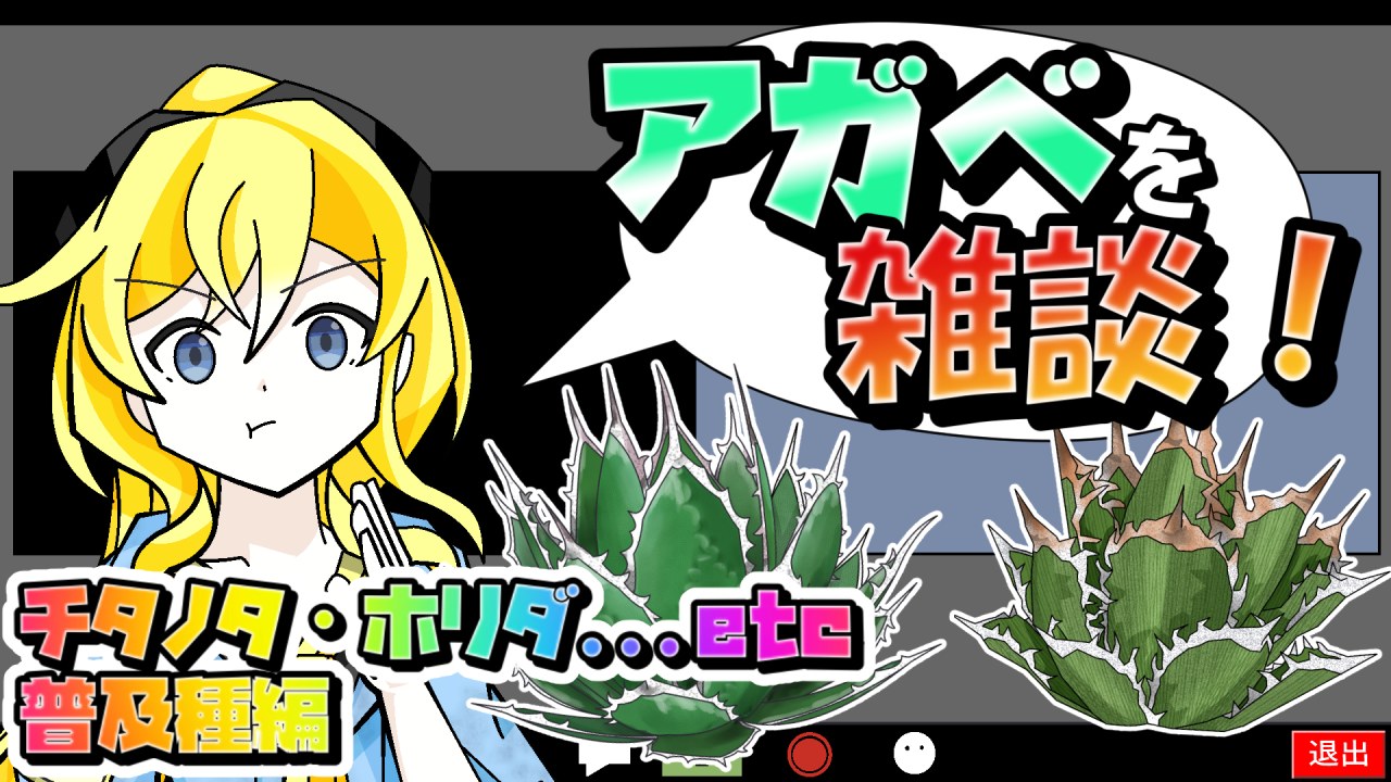 【アガベ雑談】最初に買うべきオススメのアガベをご紹介！【アガベ普及種紹介】のサムネイル